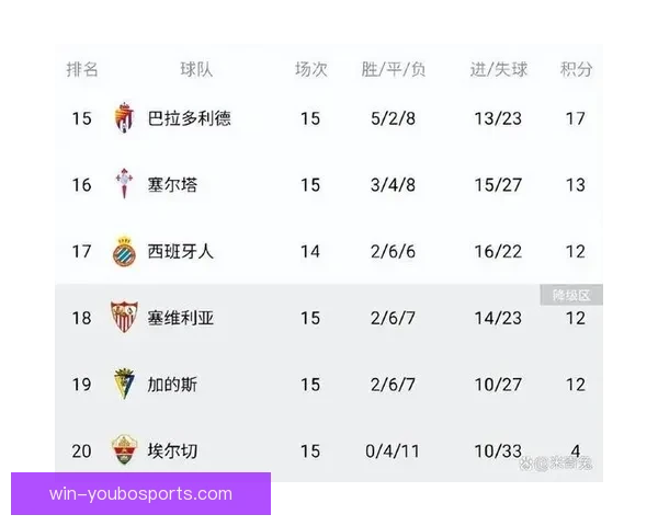 塞尔塔球迷激情文化解读与赛场精神传承分析